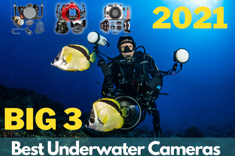 The "Big 3" Best Underwater Cameras Underwater Photography Guide